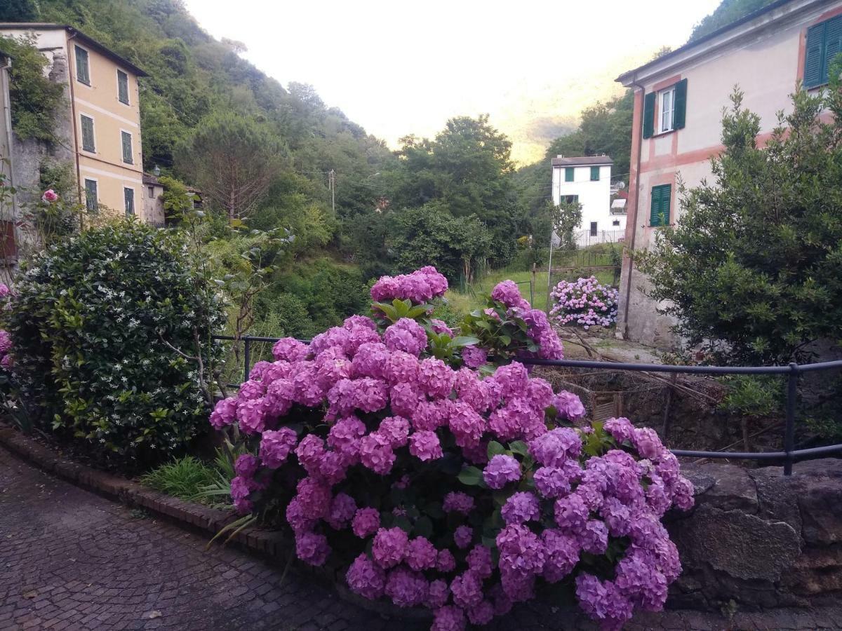 Appartamento Arredato Uso Turistico "La Nocciola" Mezzanego Exterior foto